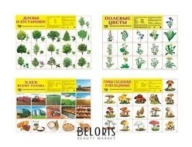 *комплект демонстрационных плакатов А2 растительный Мир леса и полей: 4 плаката А2, 64 картинки Издательство сфера