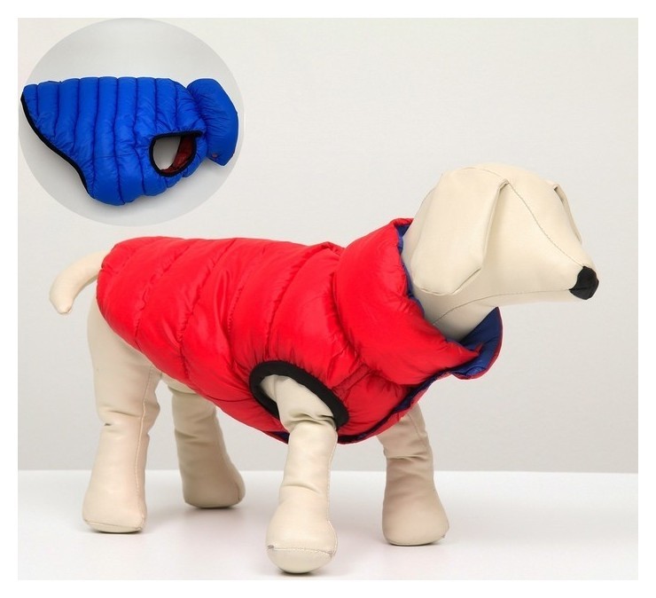 Куртка для собак двухсторонняя с воротником, M45 (ДС 42, ОШ 37, ОГ 62), красная/синяя