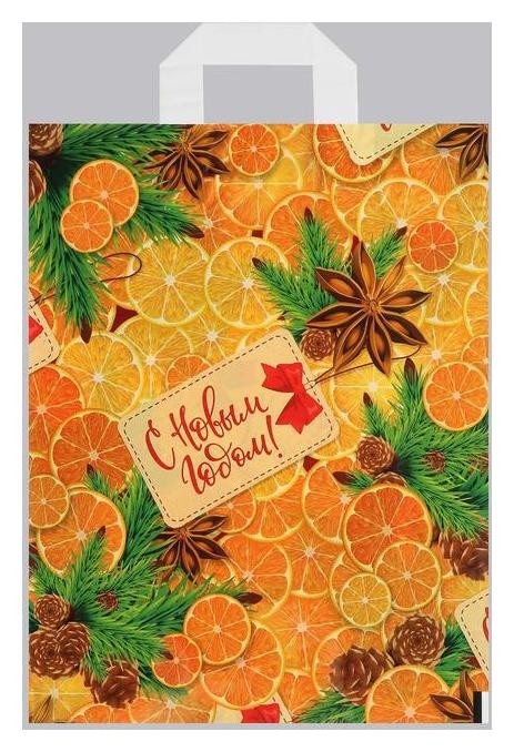 

Набор пакетов "С новым годом!", полиэтиленовый с петлевой ручкой по 20 шт, 28x35 см, 50 мкм