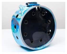 Рюкзак круглый для переноски животных, прозрачный, 26 см, голубой Пижон