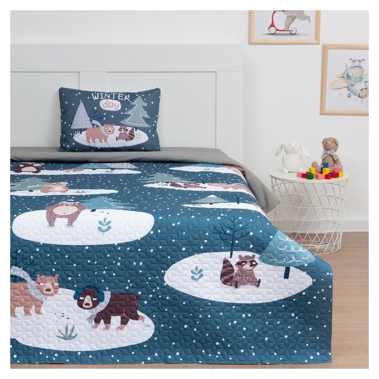 

Набор этель 1,5 сп, My Winter, покрывало 145х210 см, наволочка 40х60 см, микрофибра