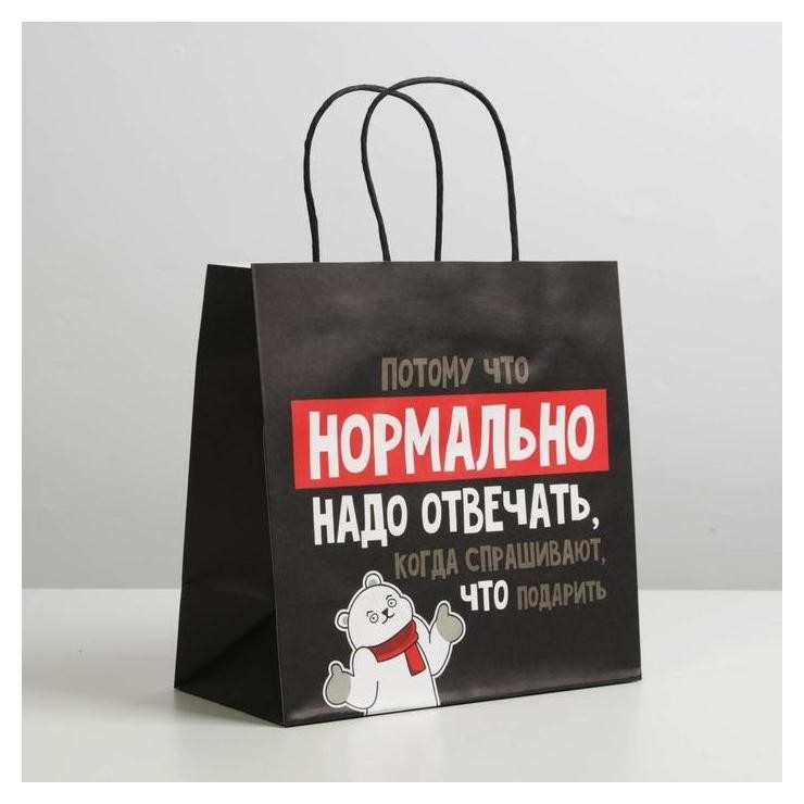 

Пакет подарочный «Нормально надо отвечать», 22 × 22 × 11 см
