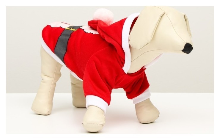 

Толстовка Santa, M (ДС 25, ОГ 37 см)