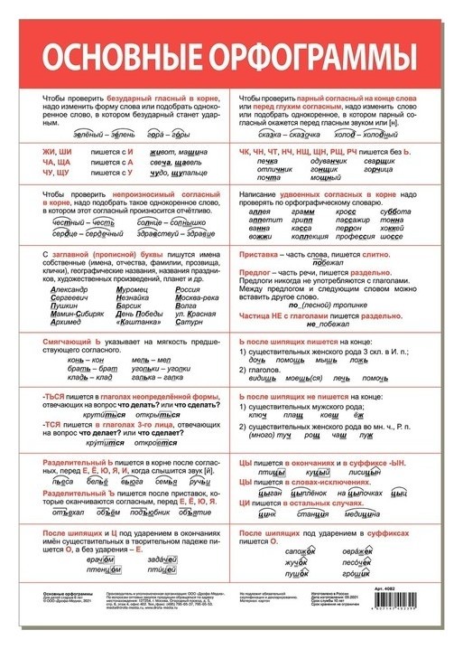 

Обучающий плакат «Основные орфограммы»