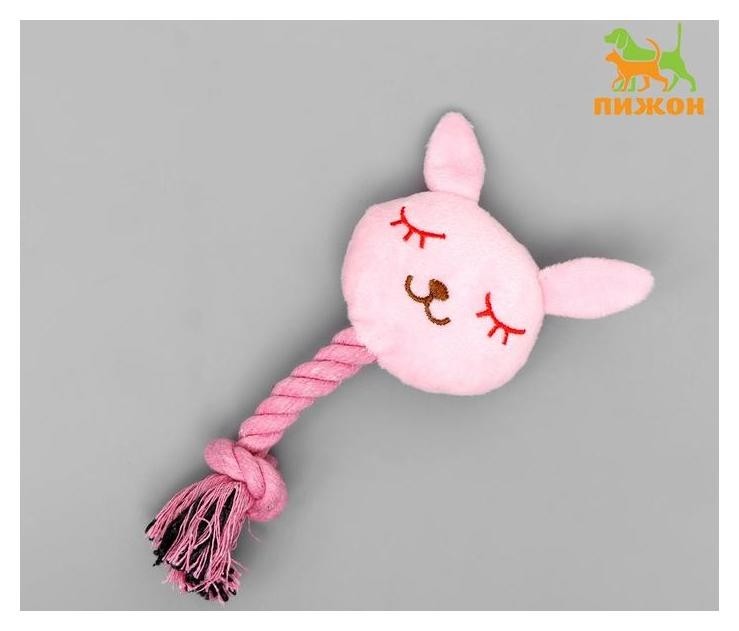 

Игрушка мягкая для собак "Зайка с канатом", с пищалкой, 18 см, розовая