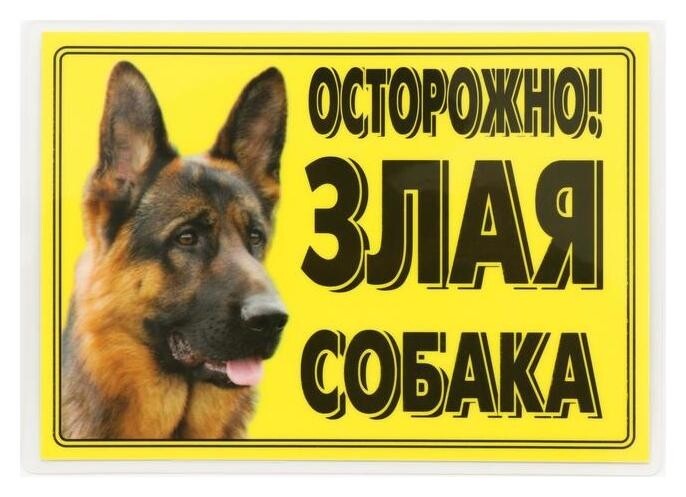 Табличка ламинированая "Осторожно! злая собака" овчарка  