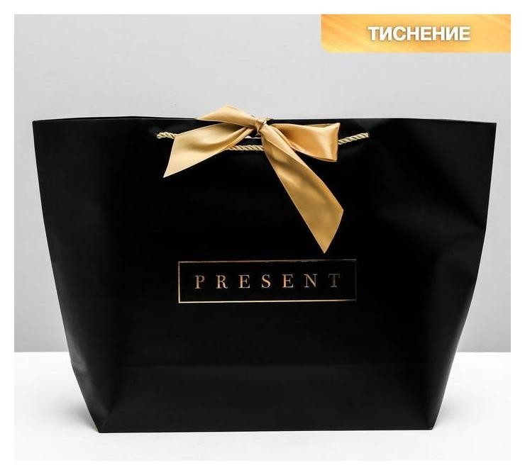 

Пакет подарочный Present, 46 х 31 х 13 см
