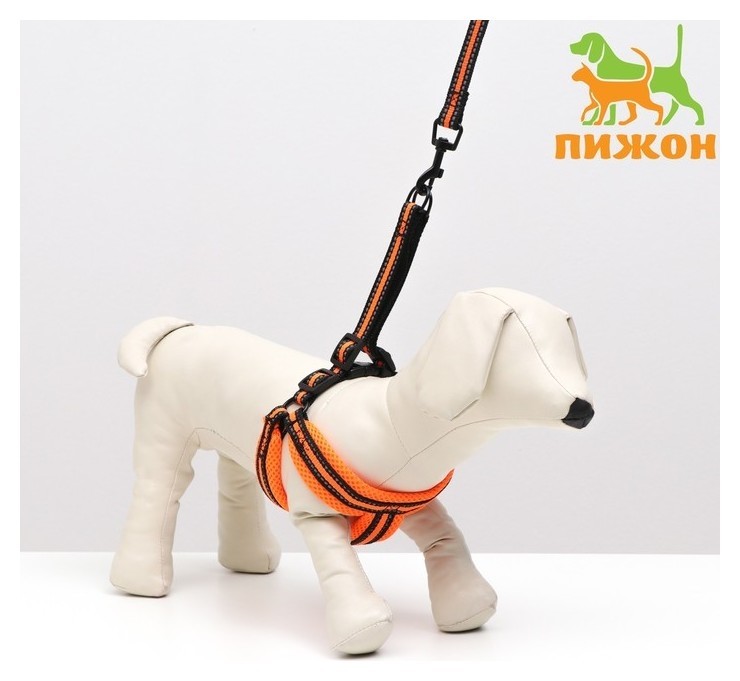 

Комплект амуниции светоотражающий с мягкой шлейкой и мягкой ручкой, 1,5х120 см, ОШ 35-53,оранжевый