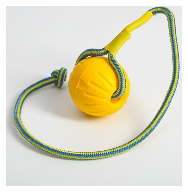 

Мяч из EVA на верёвке, для дрессировки, 7 см, жёлтый