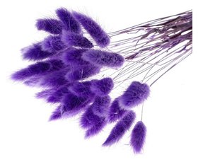 Сухие цветы лагуруса, набор 30 шт., цвет фиолетовый 
