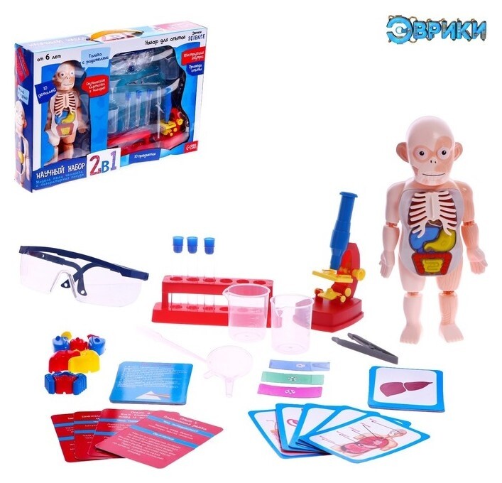 Набор для опытов «Научный набор 2в1», модель тела человека и лабораторная посуда  Эврики