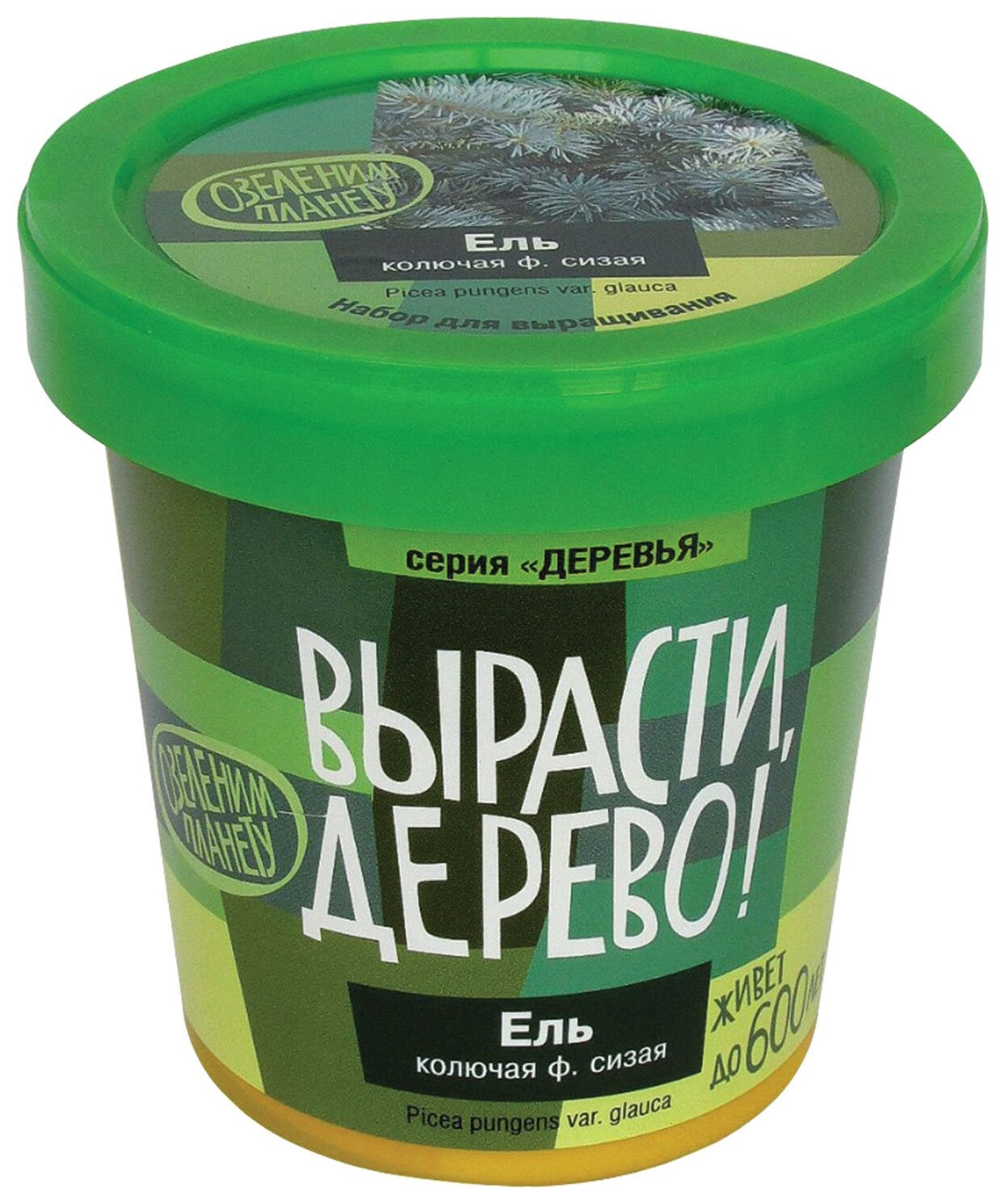 Набор для выращивания растений вырасти дерево! "Ель колючая сизая" (Банка, грунт, семена), Zk-004 Вырасти дерево!