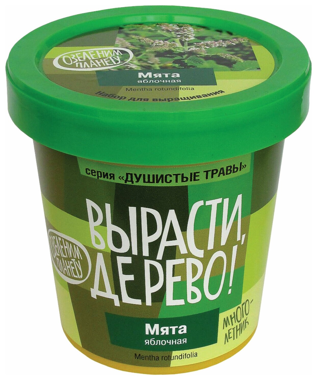 Набор для выращивания растений вырасти дерево! "Мята яблочная" (Банка, грунт, семена), Zk-093 Вырасти дерево!
