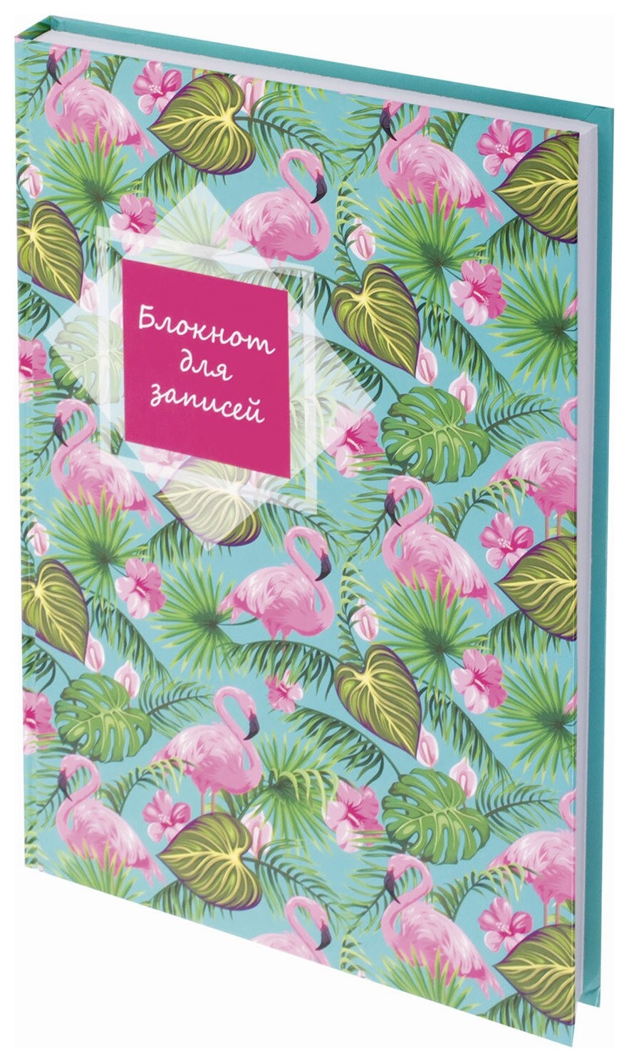 Блокнот большой формат (215х295 мм) А4, 128 л., твердый, клетка, Staff, "Фламинго", 111594  Staff