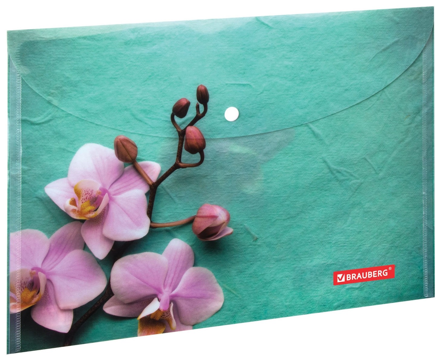 

Папка-конверт с кнопкой Brauberg "Flower", А4, 160 мкм, до 100 листов, цветная печать, 228031, С рисунком