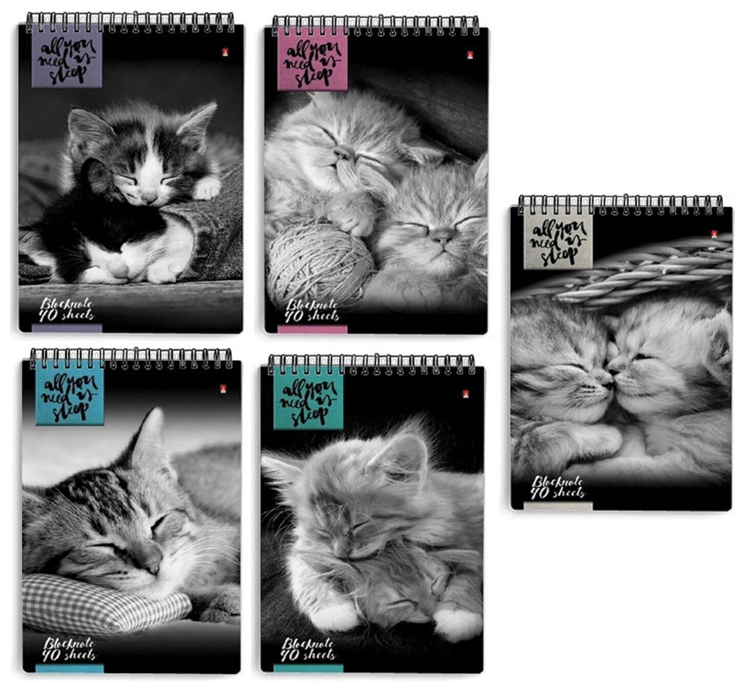 Блокнот А5, 40 л., гребень, ламинированный картон, клетка, альт, "Кошки", (5 видов), 3-40-462  Альт