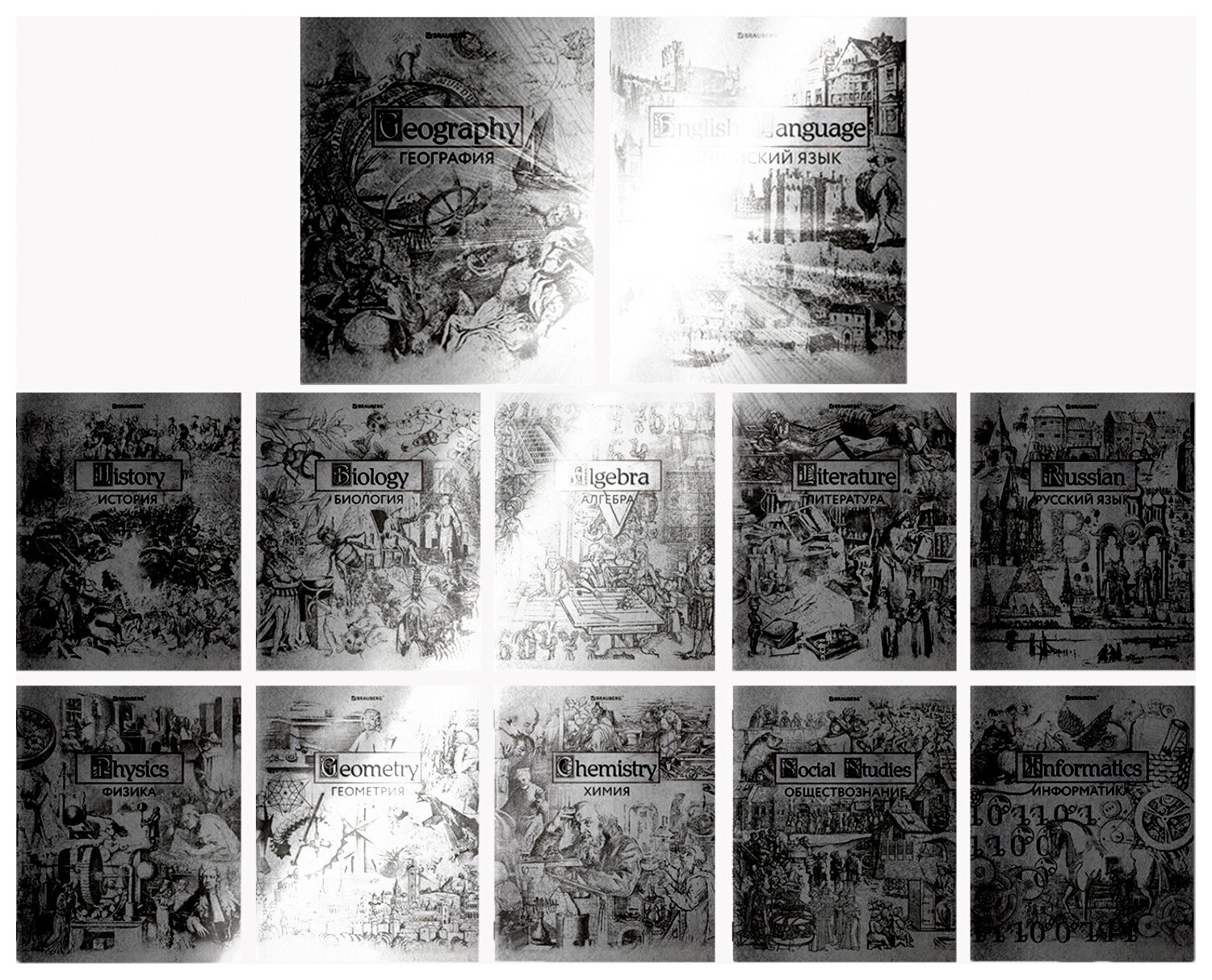 Тетради предметные, комплект 12 предметов, "Silver", 48 листов, с серебряной обложкой, Brauberg, 404034  Brauberg