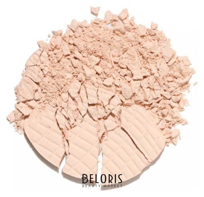 Пудра компактная Skinvisible carcass Influence Beauty