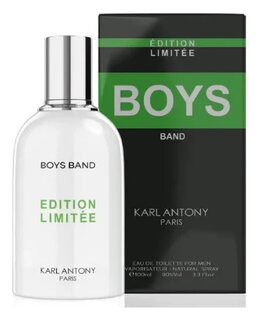 Туалетная вода для мужчин Boys Band Edition Limitee Homme Hugo Boss Bottled Unlimited  10th Avenue