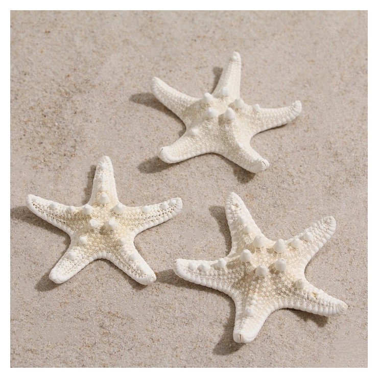 Набор из 3 морских звезд пижон аква, белые, 5-10 см