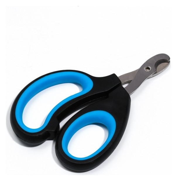Ножницы-когтерезы пижон Premium с эргономичной ручкой, чёрно-голубые