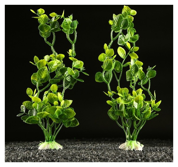Набор растений искусственных для аквариума (2 шт), 25 см, зелёный