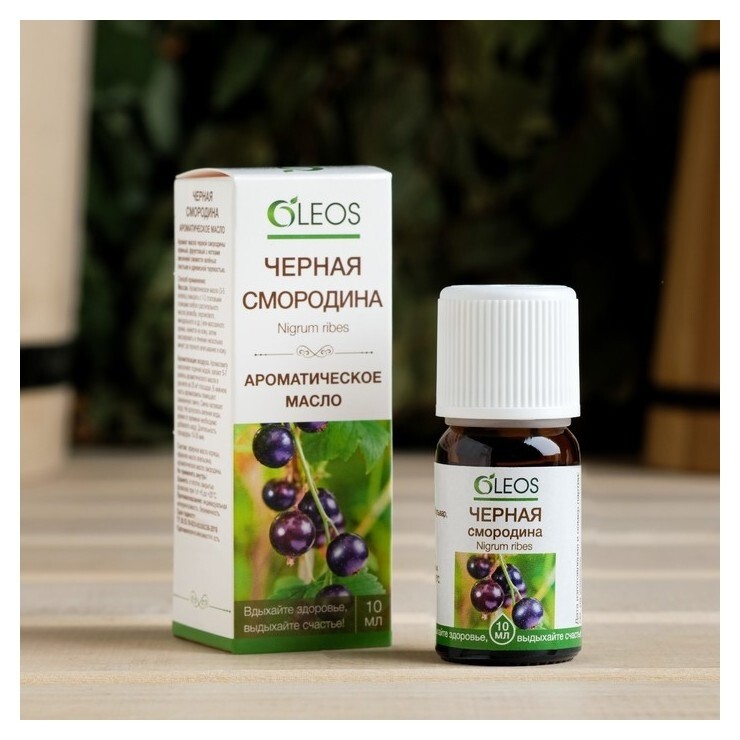 Ароматическое масло "Черная смородина" 10 мл  Oleos
