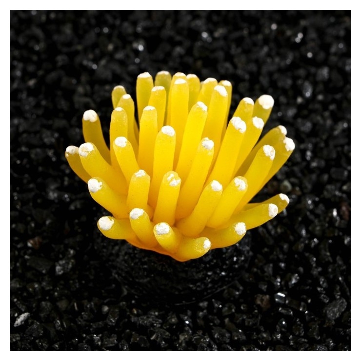 Декор для аквариума морской анемон, силиконовый, 5 х 5 см, желтый