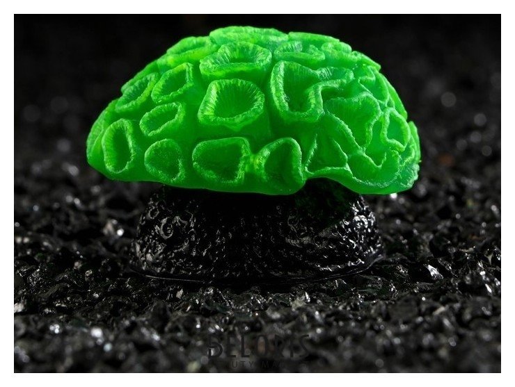 Декор для аквариума коралл Faviidae, силиконовый, зелёный, 5 х 2,5 см NNB