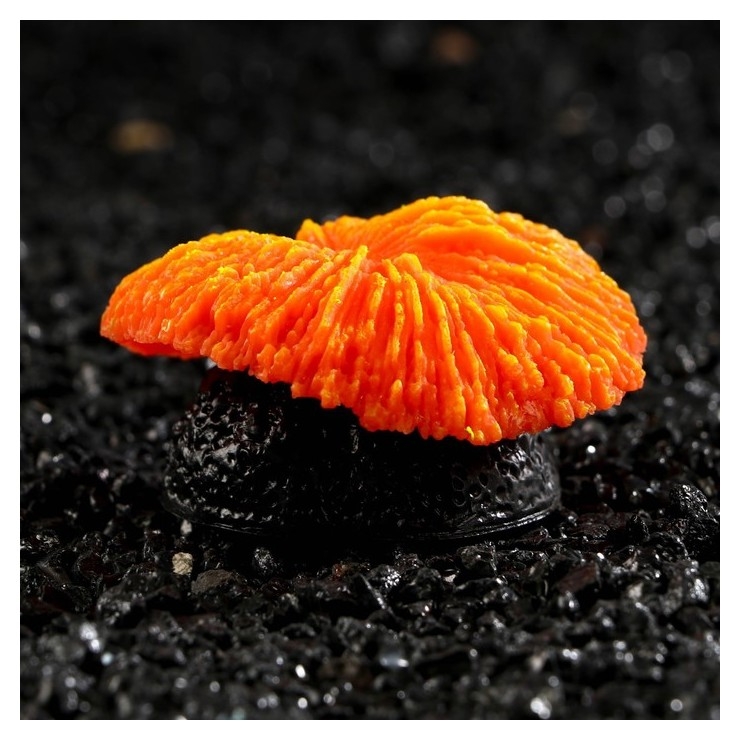 Декор для аквариума коралл пильчатый гриб, силиконовый, 5 х 2,5 см, оранжевый