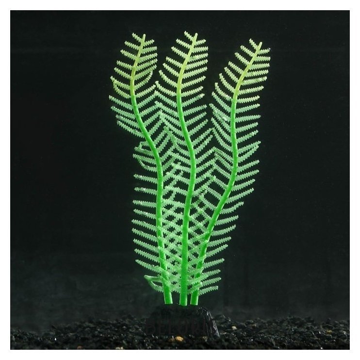 Растение силиконовое аквариумное, светящееся в темноте, 4,5 х 15 см, зелёное NNB