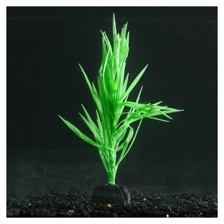 Растение силиконовое аквариумное, светящееся в темноте, 7 х 12,5 см, зелёное NNB