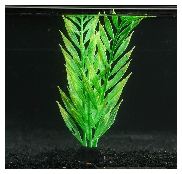 Растение силиконовое аквариумное, светящееся в темноте, 8 х 24 см, зелёное NNB