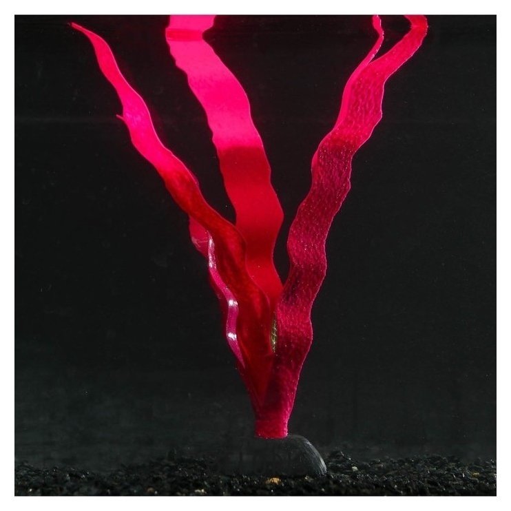 Растение силиконовое аквариумное, светящееся в темноте, 14 х 24 см, красное NNB
