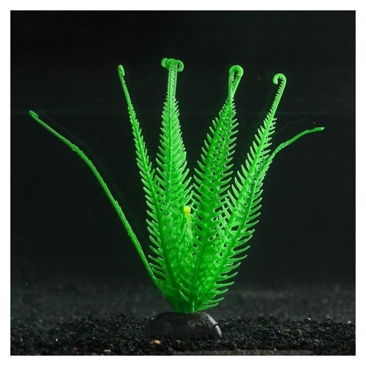 Растение силиконовое аквариумное, светящееся в темноте, зелёное, 10.5 х 18 см NNB
