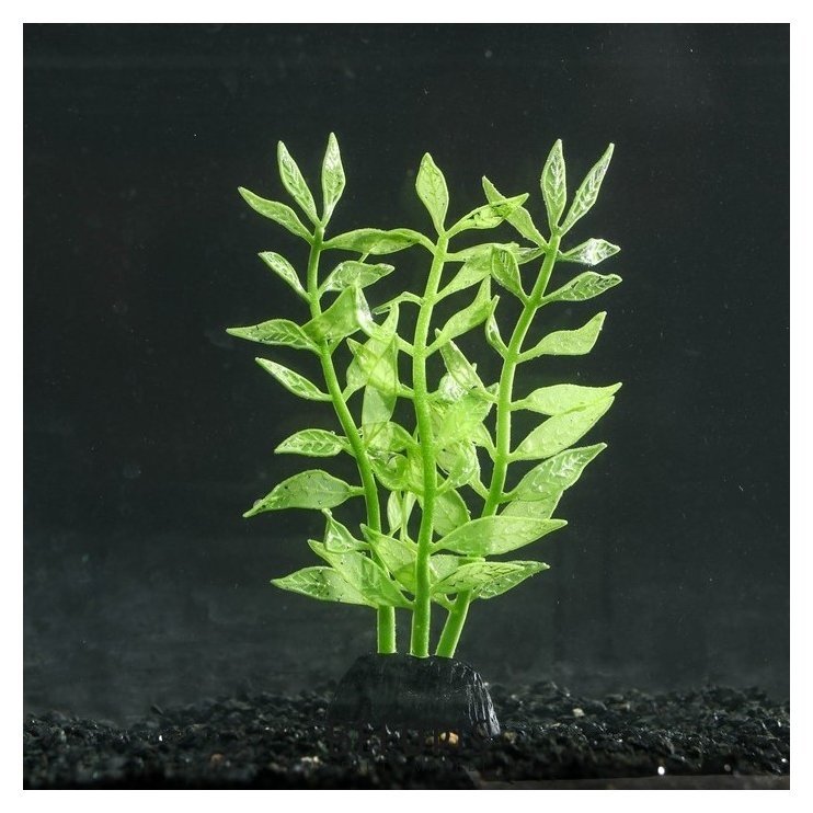 Растение силиконовое аквариумное, светящееся в темноте, зелёное, 8 х 15 см NNB