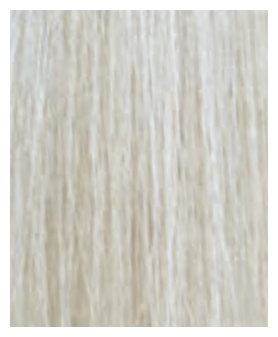 Тон 11/20 Ультрасветлый блондин платиновый пепельный  Lisap Milano