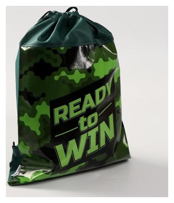 Сумка для обуви Ready To Win 41*30*0,5см  