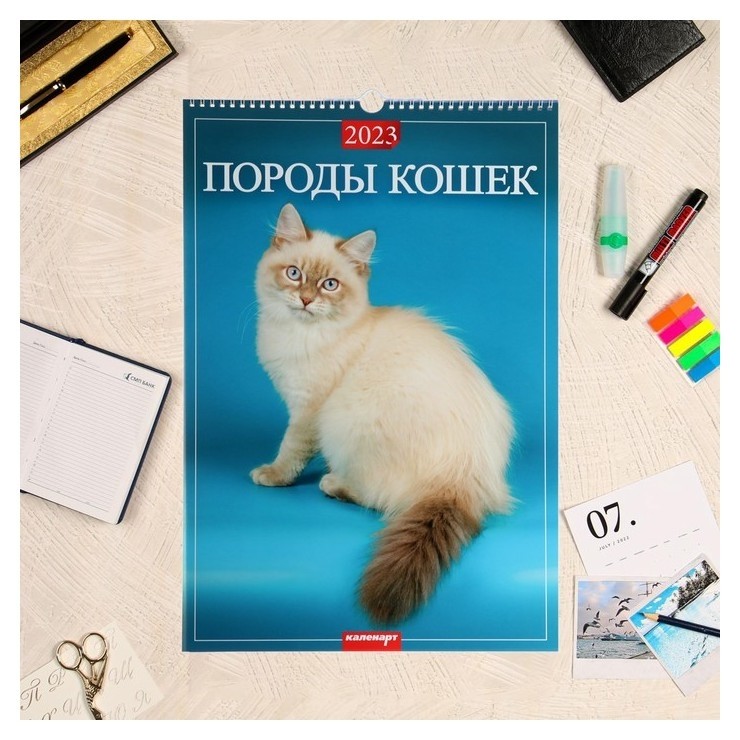 

Календарь перекидной на ригеле "Породы кошек" 2023 год, 320х480 мм