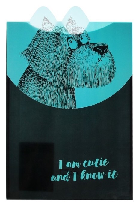 Папка-конверт А4 на липучке дизайн феникс "Крэйзи пес" черн/голуб 60451  Феникс+