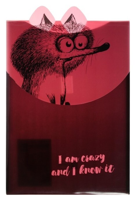 Папка-конверт А4 на липучке дизайн феникс "Крэйзи белка" черн/оранж 60450  Феникс+