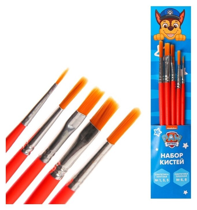 Набор кистей синтетика 5шт (Кр №1,3,5; пл: №6,8), Paw Patrol  Paw patrol