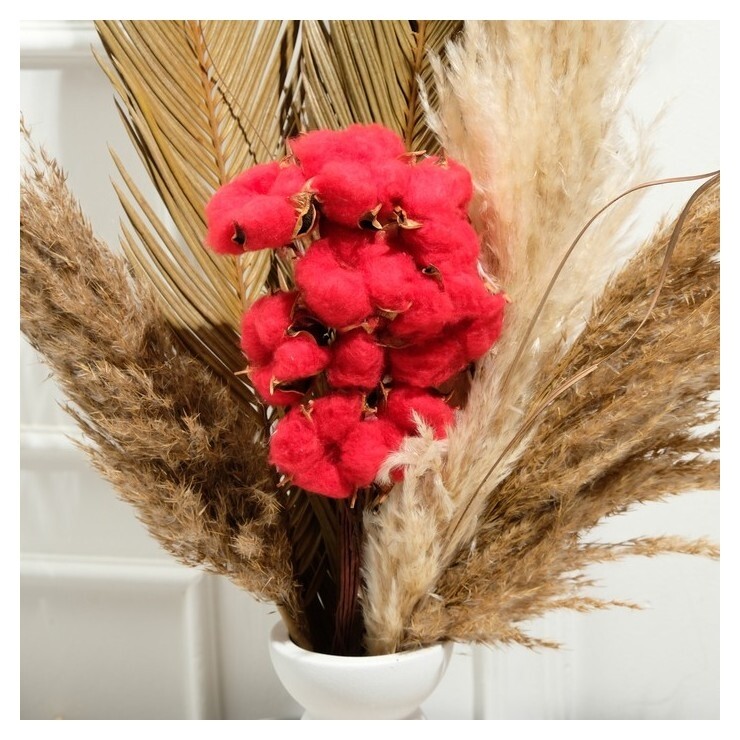 Набор сухоцветов «Хлопок», красный, Ø5 см, 30 см, 10 шт  