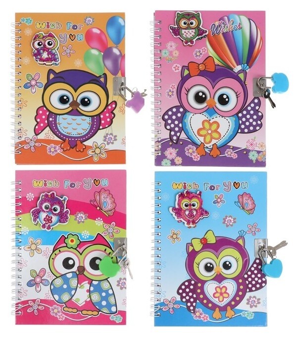 Записная книжка подарочная на замочке а6+,50 листов, линия, совушка  Calligrata