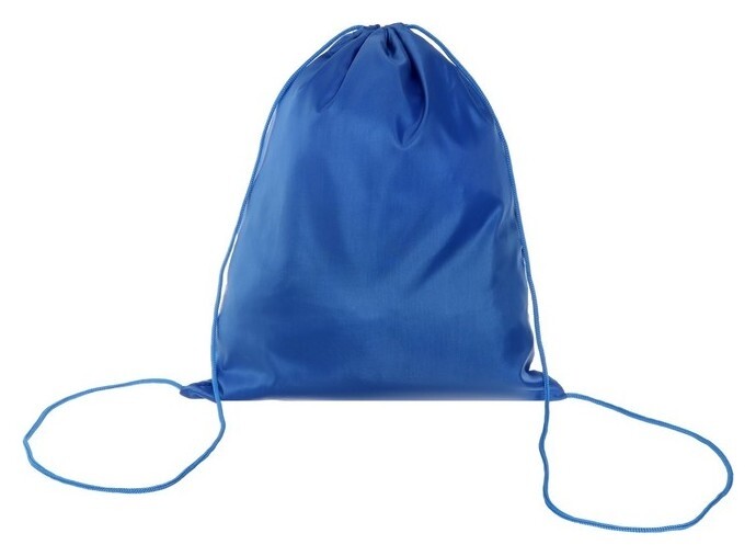 Сумка для сменной обуви 420×340 мм, синяя  Пчелка