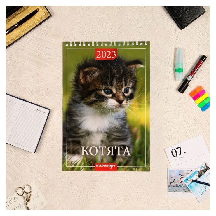 

Календарь на пружине без ригеля "Котята" 2023 год, 17 х 25 см