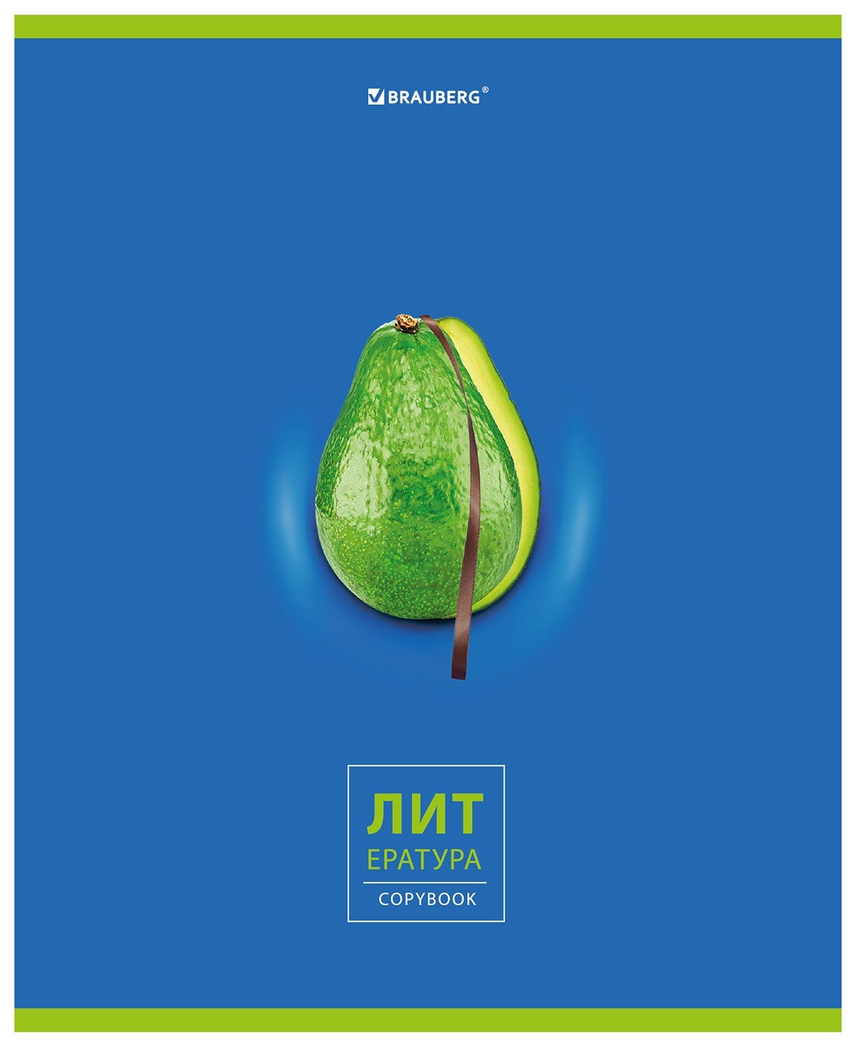 Тетрадь предметная "Avocado" 48 л., глянцевый лак, литература, линия, подсказ, Brauberg, 404281  Brauberg