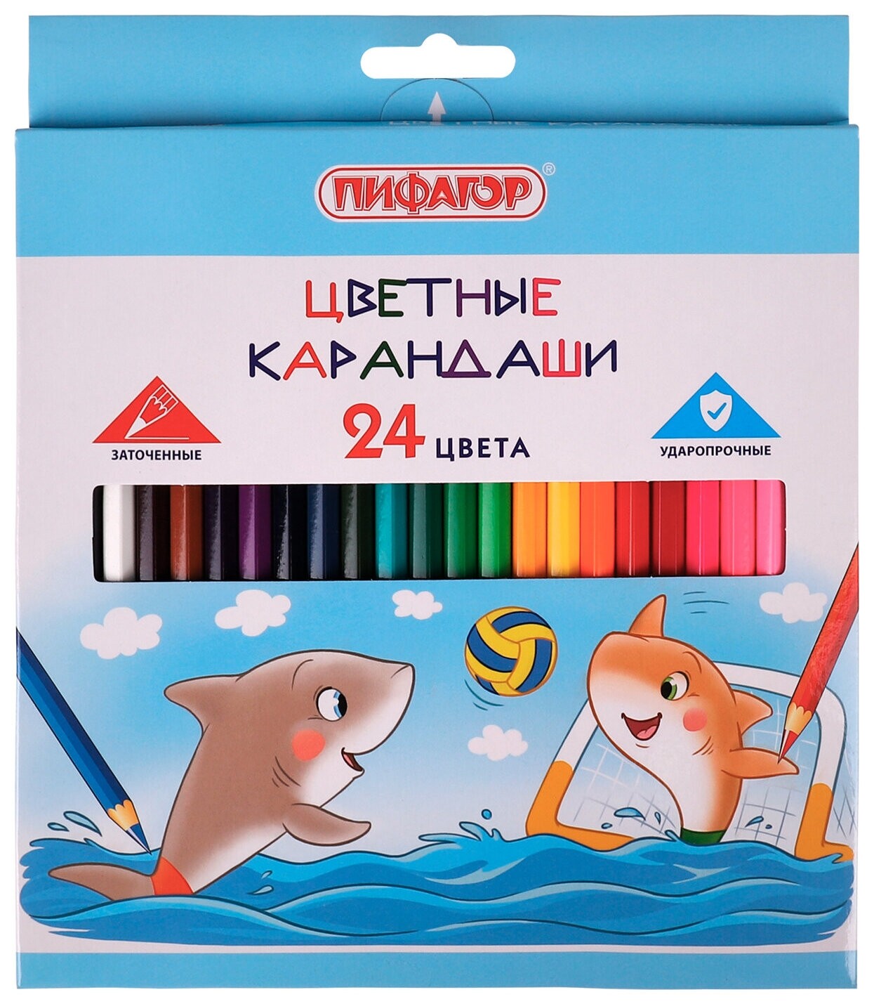 Карандаши цветные пифагор "Веселые акулята", 24 цвета, классические, заточенные, 181818 Пифагор