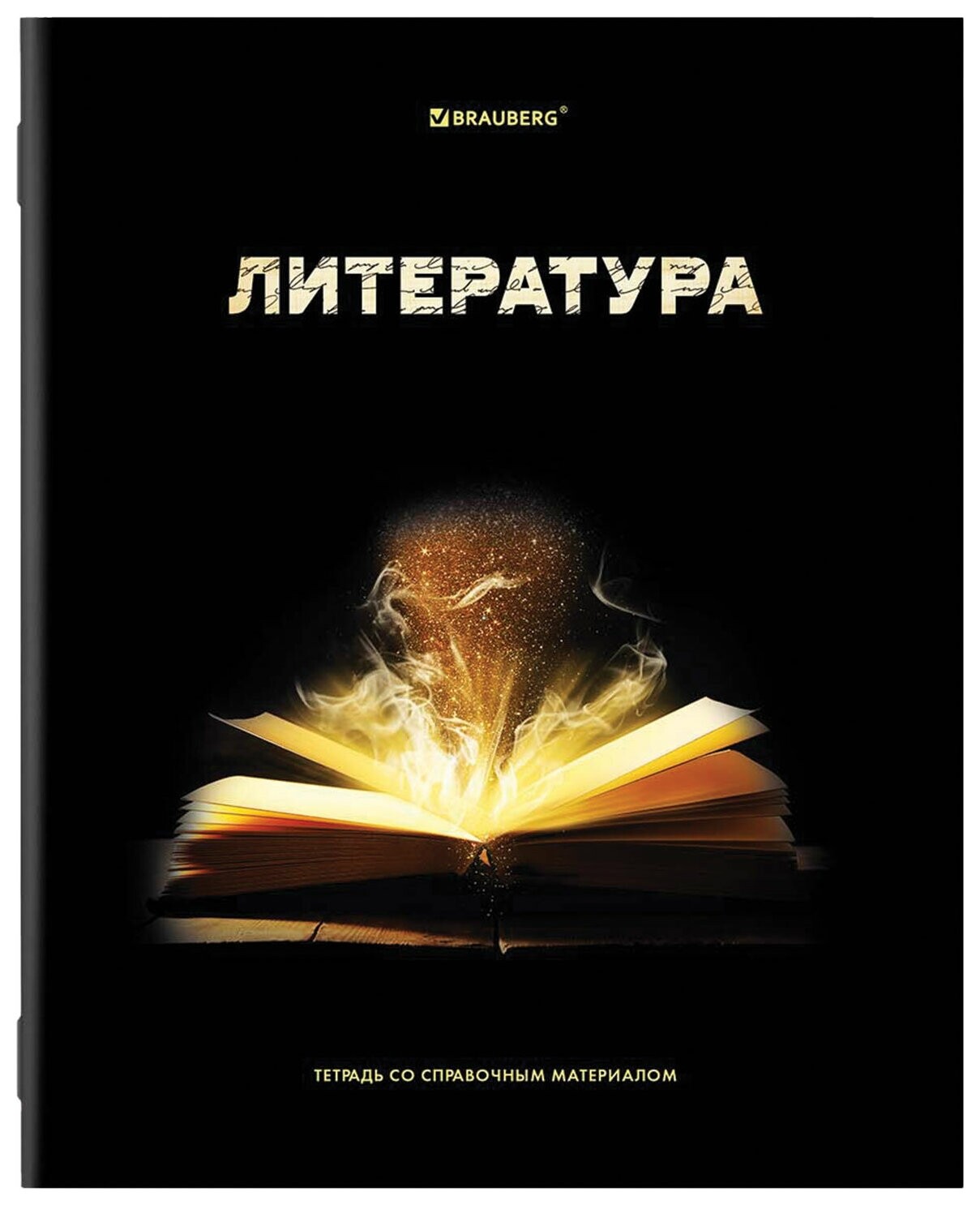 Тетрадь предметная "Shade" 48 л., глянцевый лак, литература, линия, Brauberg, 404269  Brauberg
