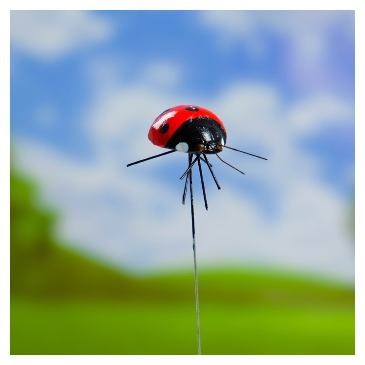 

Штекер декоративный для комнатных растений "Божья коровка" 2х2,5см, 22см